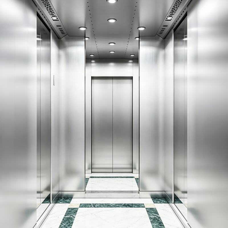 Mirror & Hairline Stainless Steel Passenger Elevator for Hotels