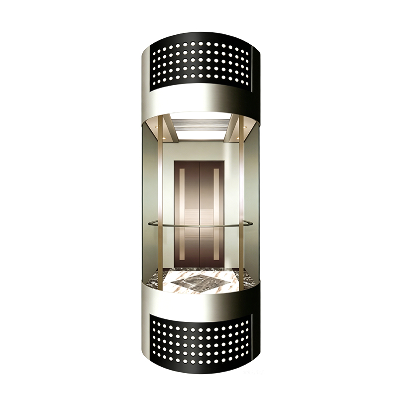 Decorative Etched Stainless Steel Sightseeing Elevator with Integrated LED Roof Lighting
