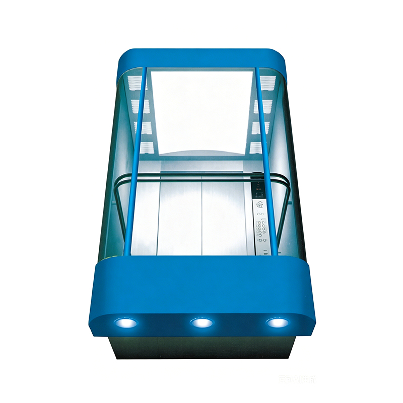 Painted Steel Panoramic Observation Elevator with Hairline Stainless Steel Interior