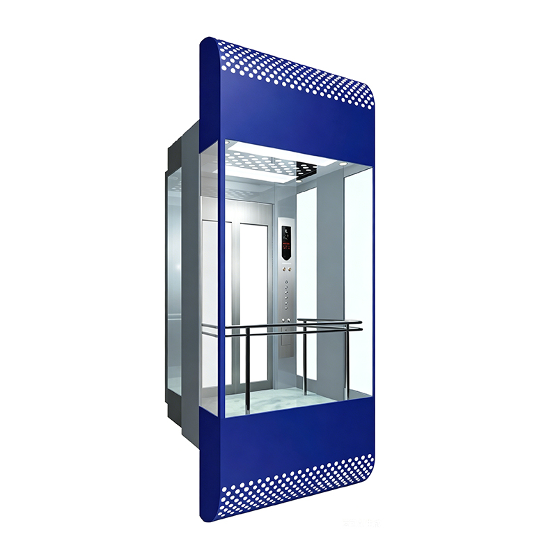 Laminated Glass Sightseeing Lift with Baking Enamel Car Cover for Shopping Mall