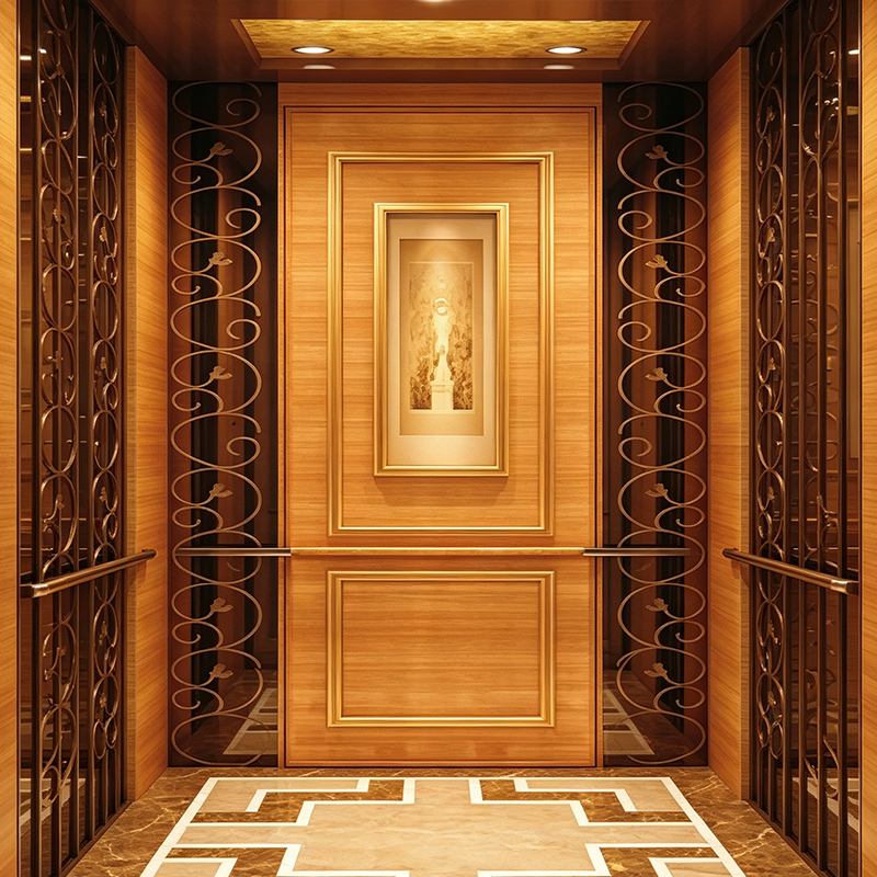 Rose Gold Mirror Stainless Steel Residential Lift for Private Villas
