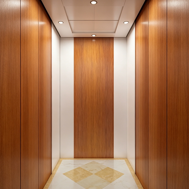 Simple Design Stoving Varnish Steel Plate Home Villa Elevator