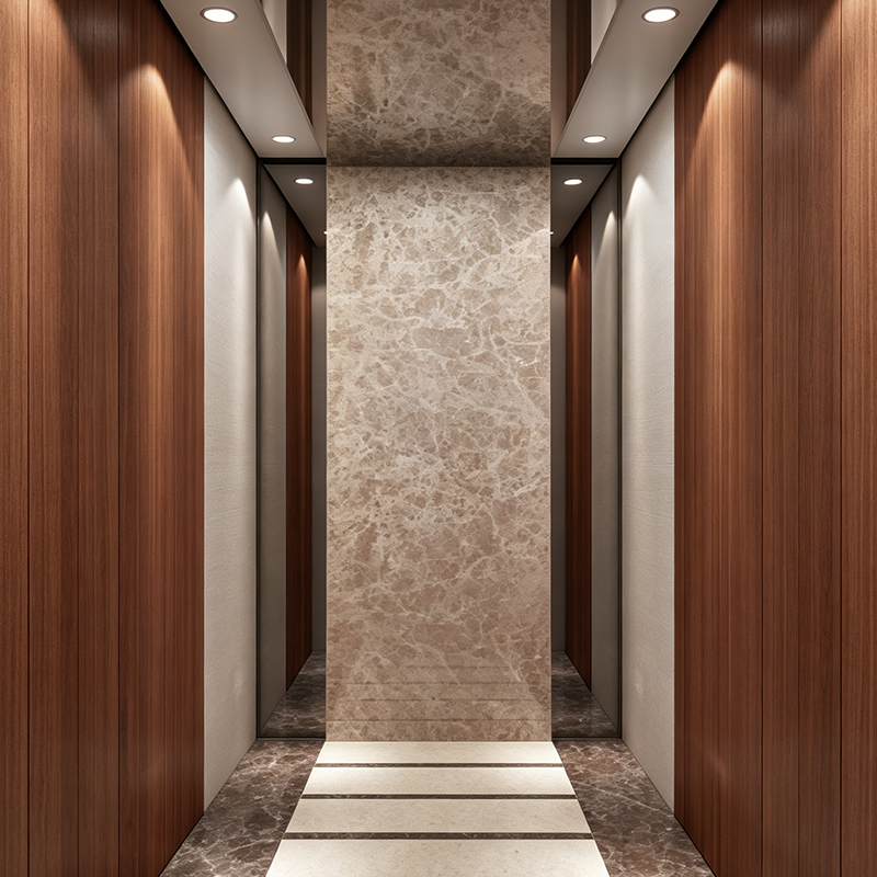 Elegant Metal Stoving Varnish Modeling Home Villa Lift for Small Spaces
