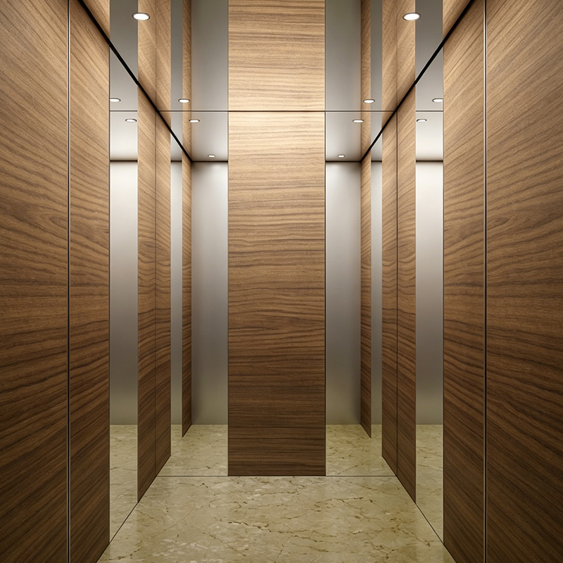 Modern Wood Veneer Cabin Interior Villa Passenger Lift