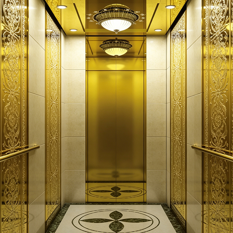 Golden Age Titanium Mirror Finish Luxury Home Lift
